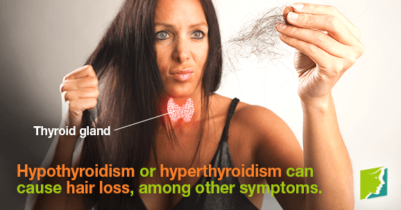 Thyroid Problems and Hair Loss1