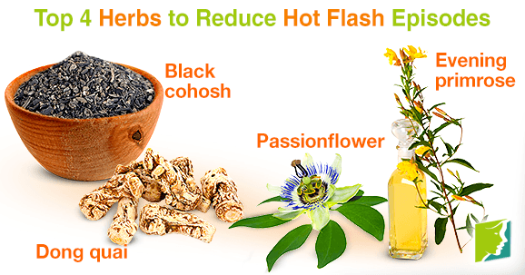 Top 4 Herbs to Reduce Hot Flash Episodes