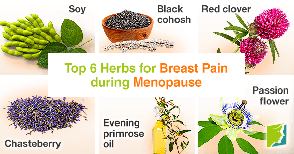 Top 6 herbs for breast pain during menopause