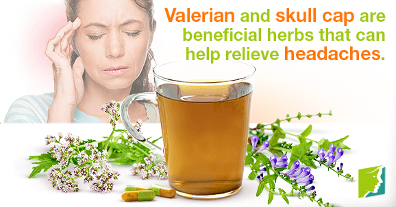 Valerian and skull cap are beneficial herbs that can help relieve headaches.