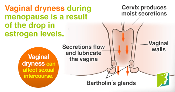 Vaginal dryness affects up to 80% of all women