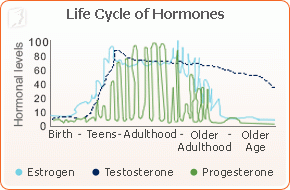 Weight Gain during Menopause