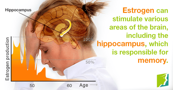 Estrogen can stimulate various areas of the brain, including the hippocampus, which is responsible for memory.