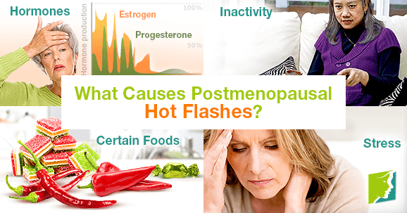 What Causes Postmenopausal Hot Flashes?