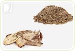 Herbal Medicine during Postmenopause